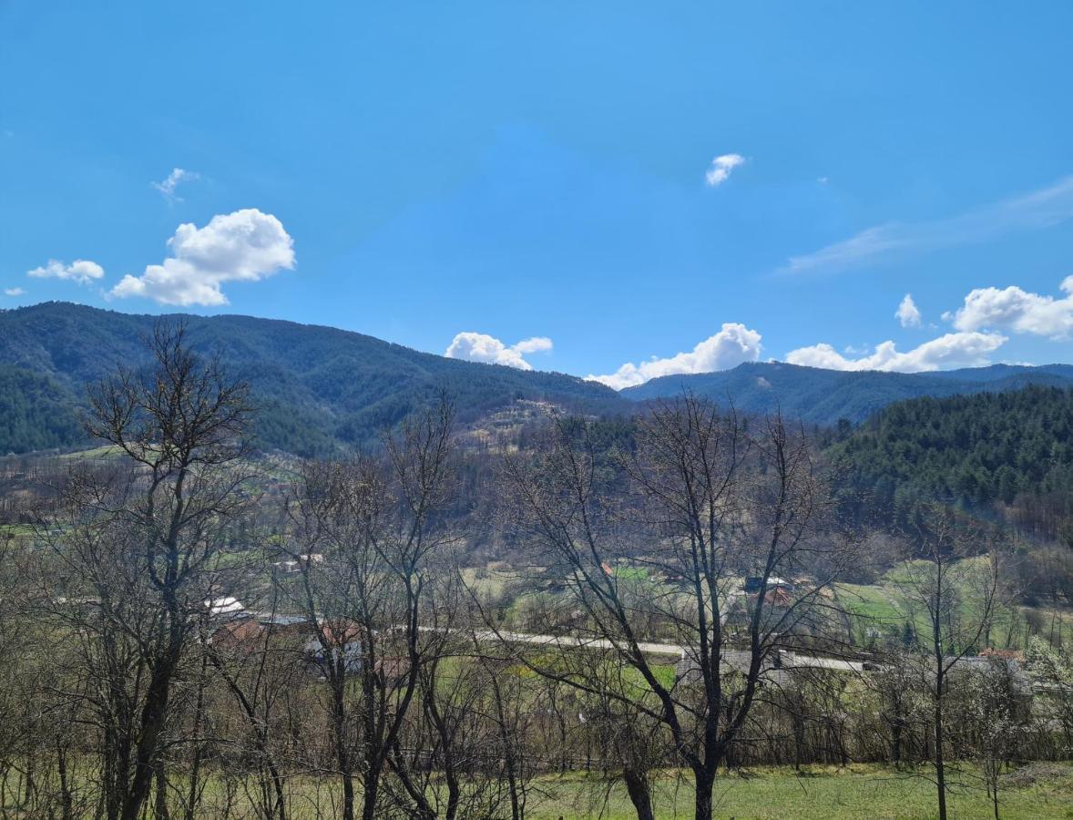 Guest House Rankic Mokra Gora Bagian luar foto